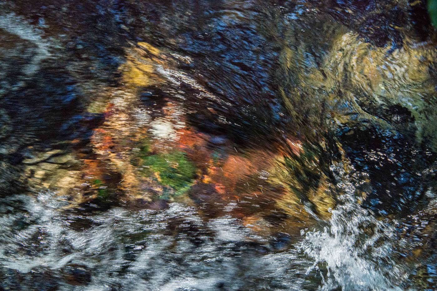 Jean-Francois Robert - Springs, Golden Bay - New Zealand février 2017
