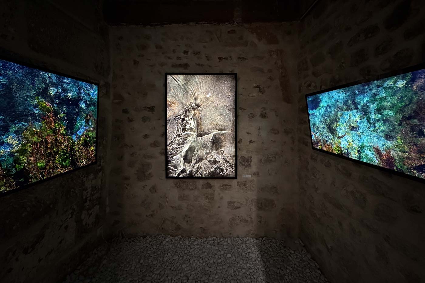 Jean-François Robert - Exposition "Ce que l'eau nous dit" - Galerie Space Between, 2025