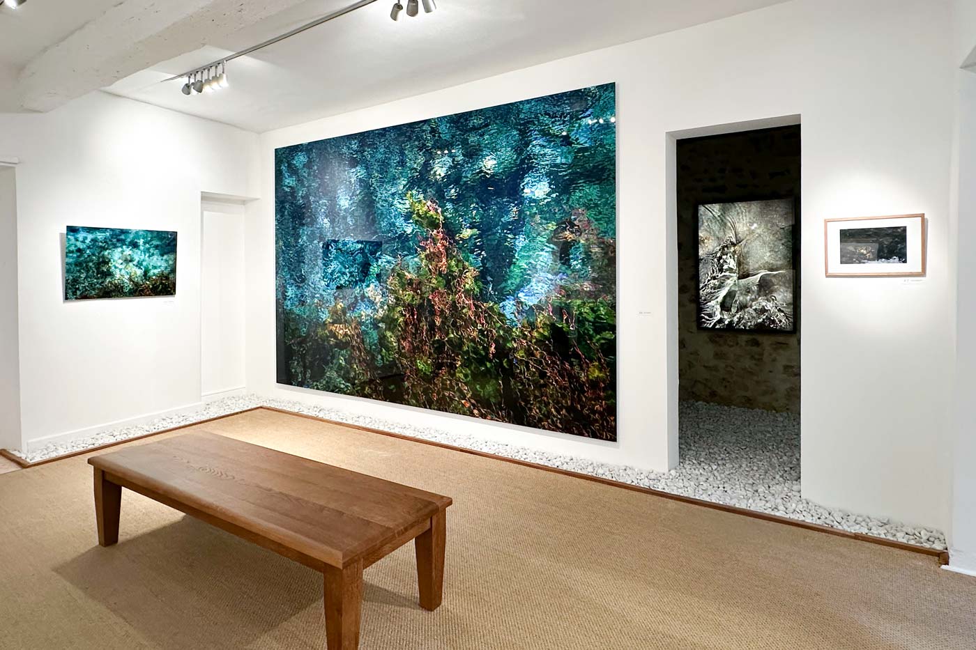 Jean-François Robert - Exposition "Ce que l'eau nous dit" - Galerie Space Between, 2025 Jean-François Robert - Exposition "Ce que l'eau nous dit" - Galerie Space Between, 2025