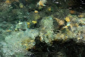 Jean-Francois Robert - Springs, Golden Bay - New Zealand janvier 2011