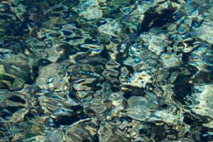 Jean-Francois Robert - Springs, Golden Bay - New Zealand février 2018