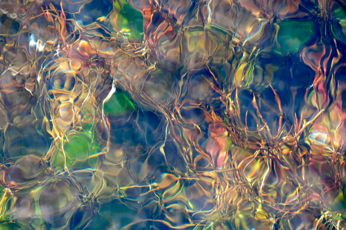 Jean-Francois Robert - Springs, Golden Bay - New Zealand mars 2012