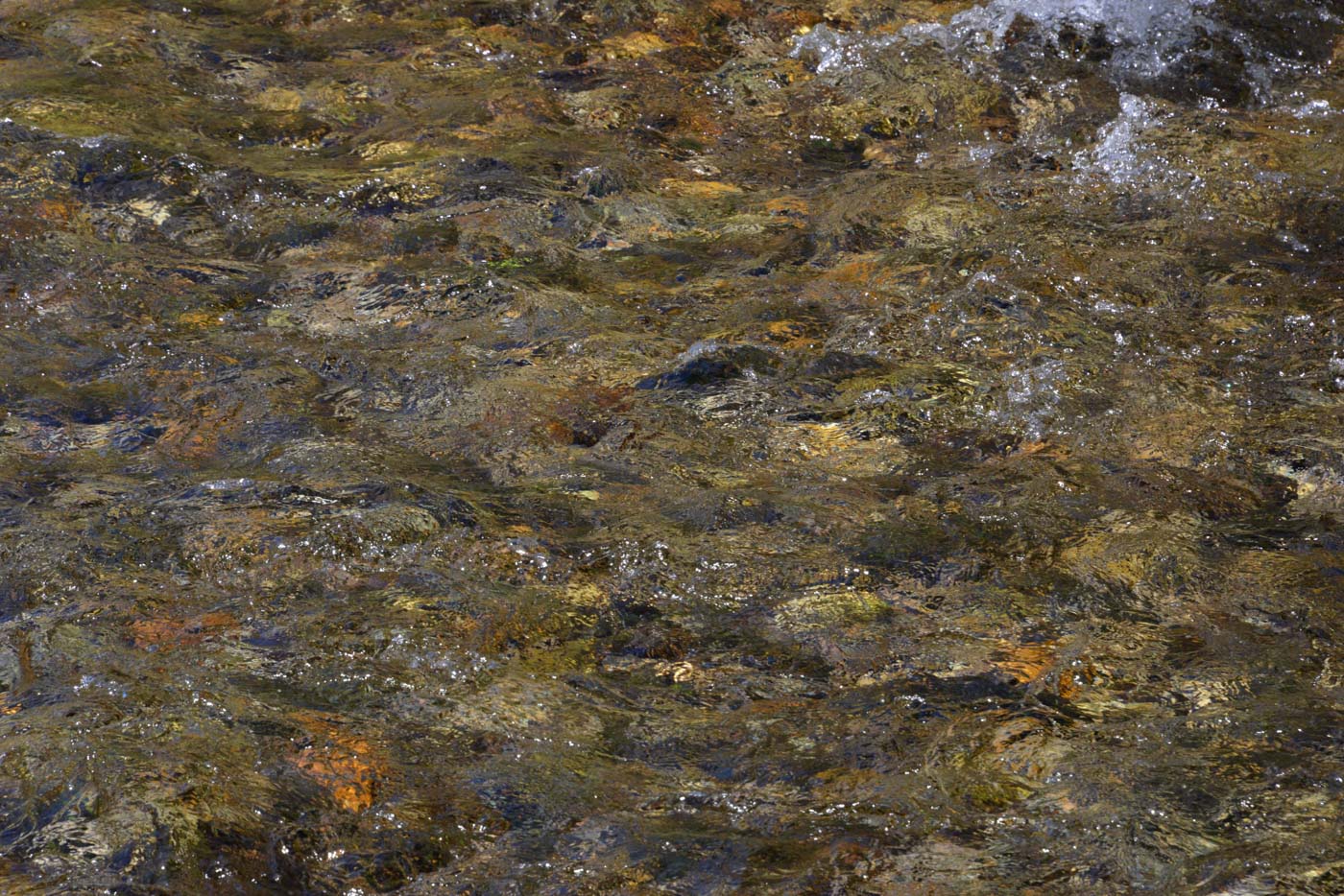 Jean-Francois Robert - Springs, Golden Bay - New Zealand septembre 2015