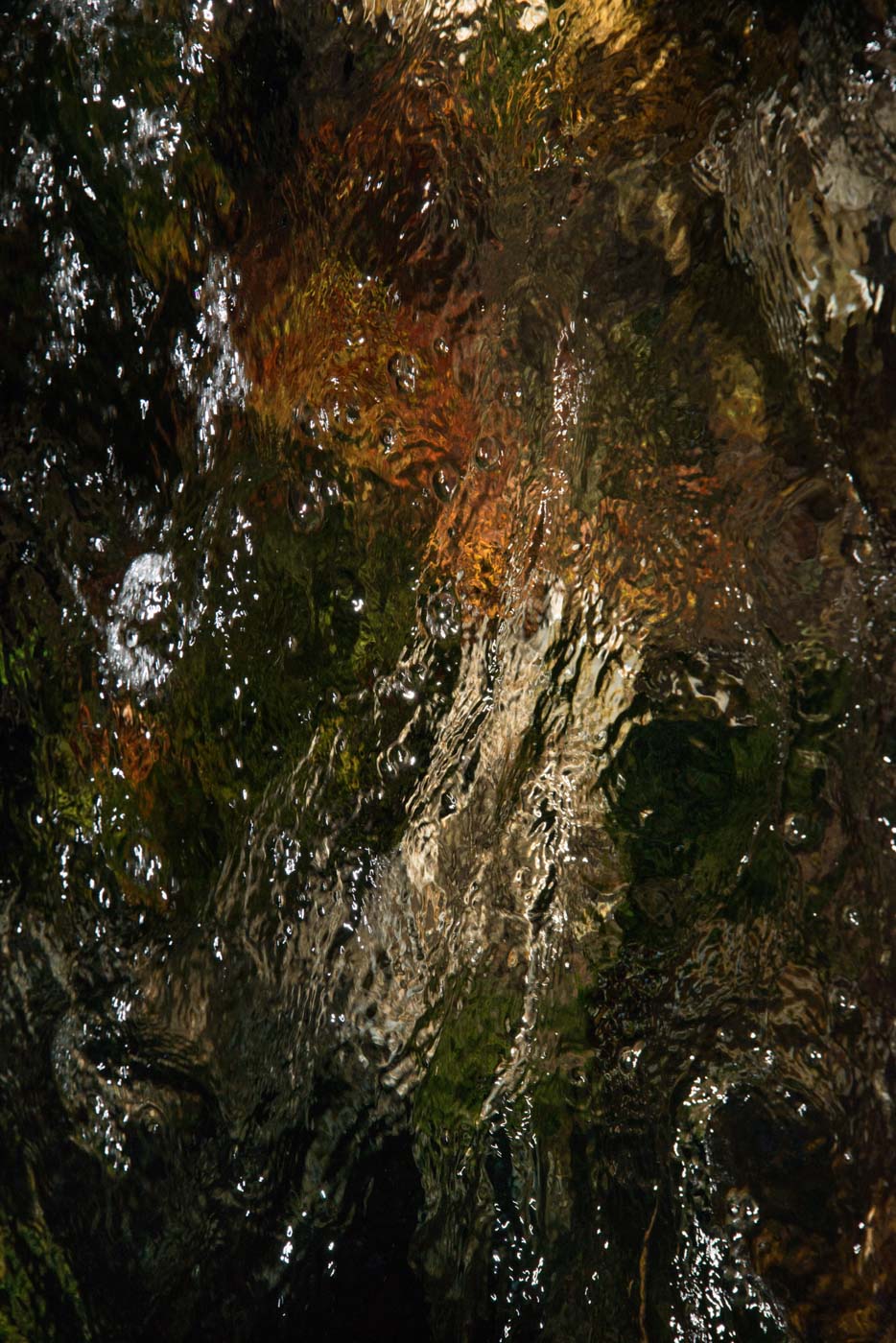 Jean-Francois Robert - Springs, Golden Bay - New Zealand décembre 2019