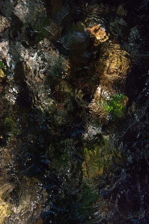 Jean-Francois Robert - Springs, Golden Bay - New Zealand décembre 2019