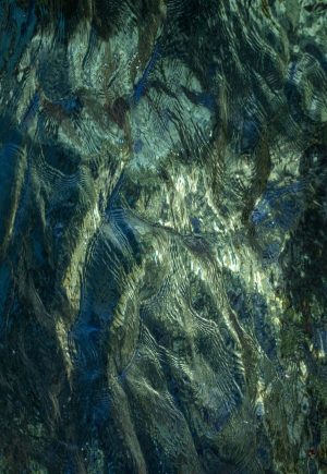 Jean-Francois Robert - Springs, Golden Bay - New Zealand janvier 2024