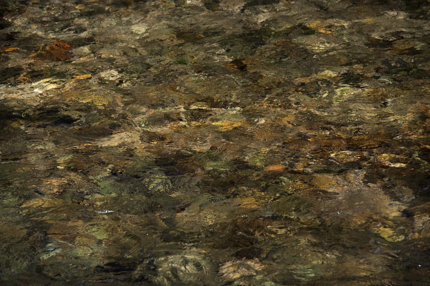 Jean-Francois Robert - Springs, Golden Bay - New Zealand janvier 2019