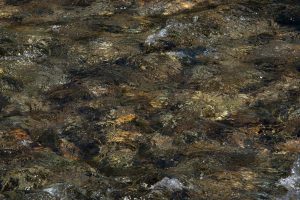 Jean-Francois Robert - Springs, Golden Bay - New Zealand janvier 2019
