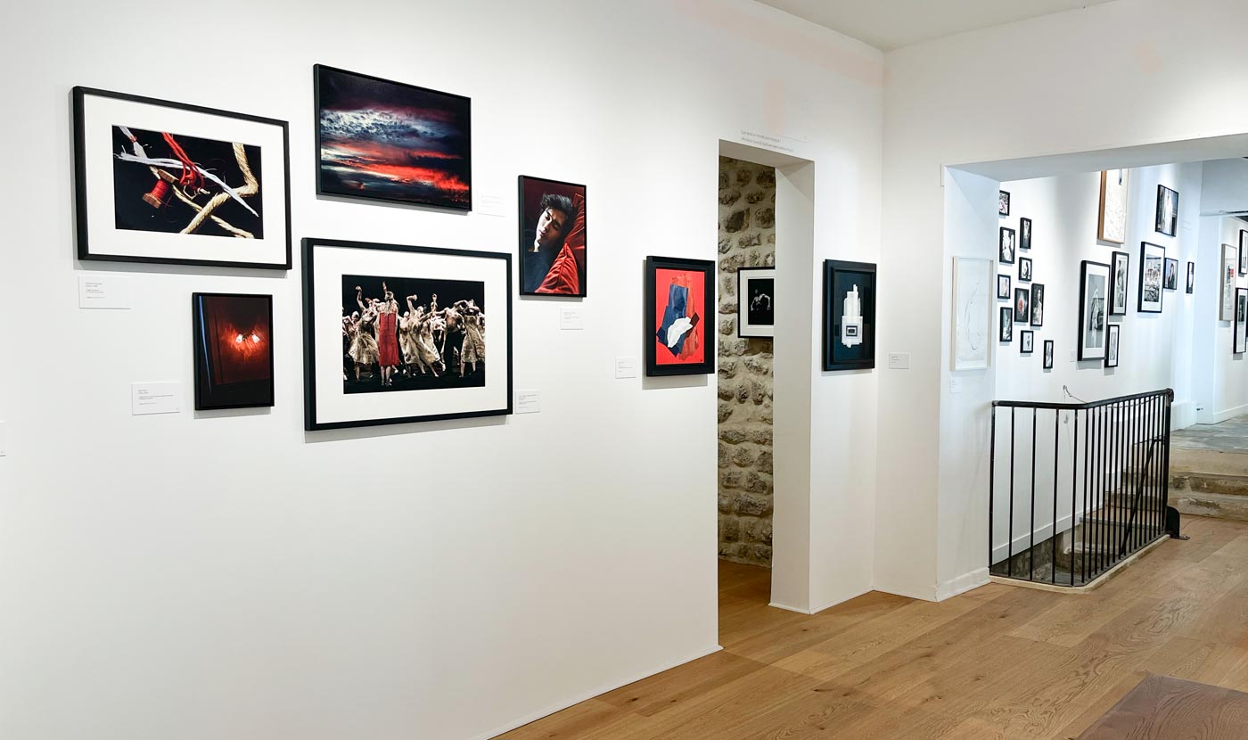 Exposition Fragile Ann Ray | galerie Space Between